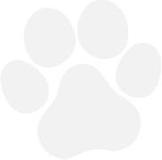 Paw Print